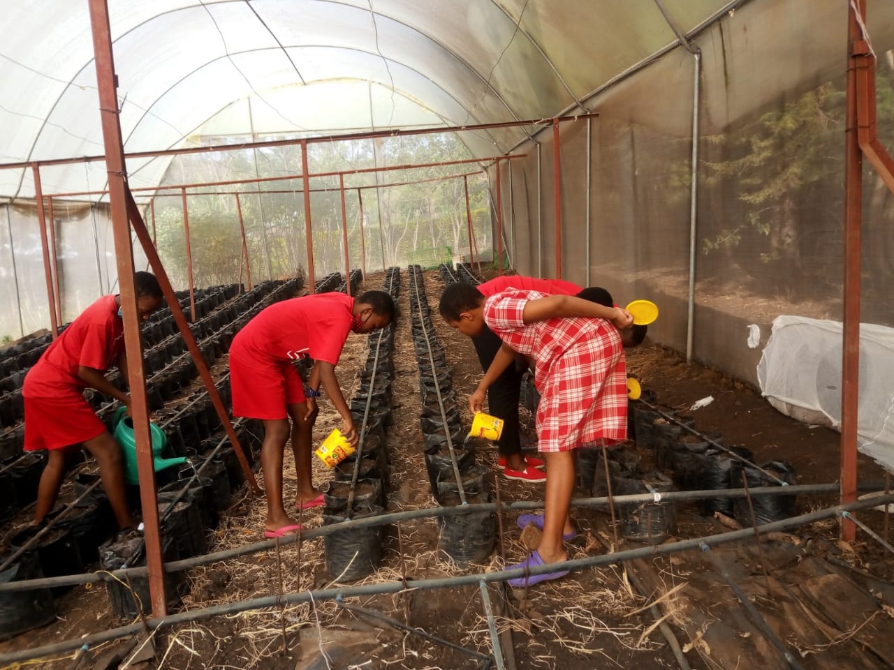JAMS students tending plants in greenhouse March 2021