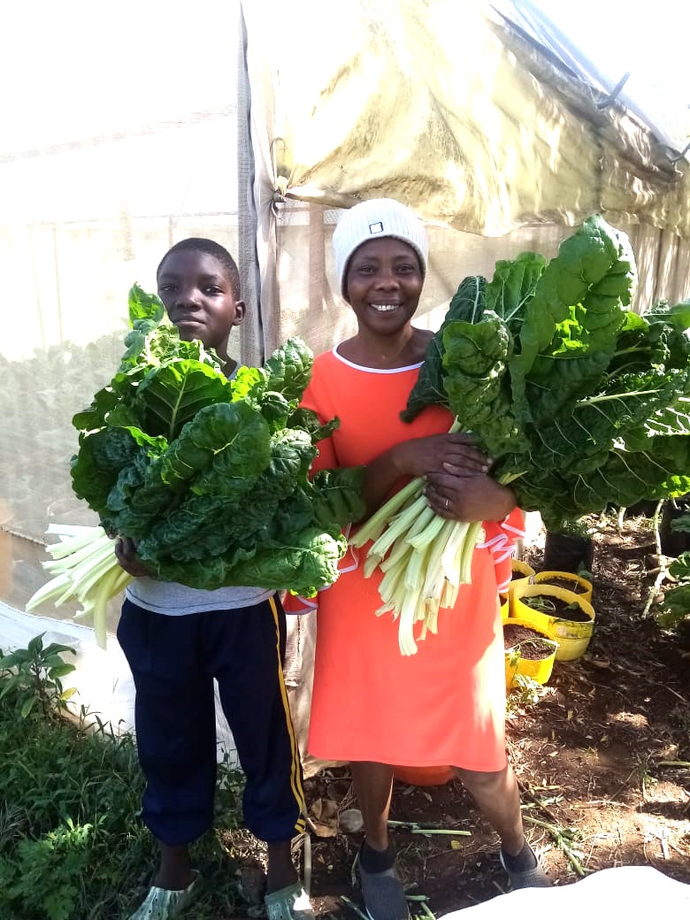 Celebrating the vegetable harvest