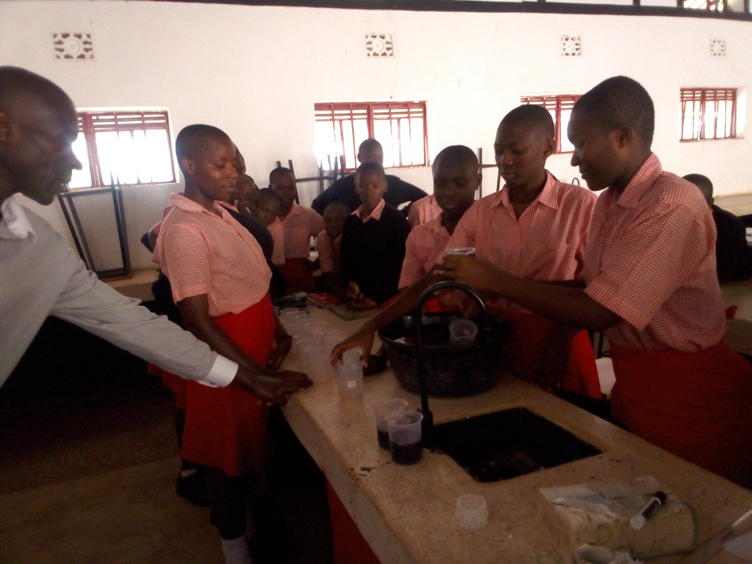 Students working on a soil analysis experiment